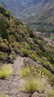 2022-04-GranCan-Agaete-Trekking_view-PM-NN-039.JPG